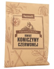 Kwiat koniczyny czerwonej