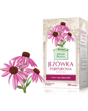 Jeżówka purpurowa fix