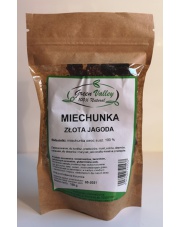 Miechunka - złota jagoda