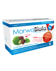 Morwa biała Plus